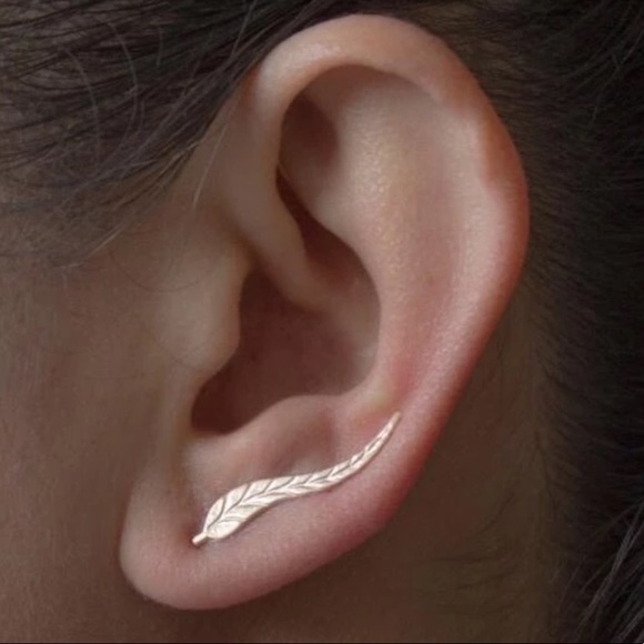 Silver Feather Leaf Earrings - Picture 2 of 4